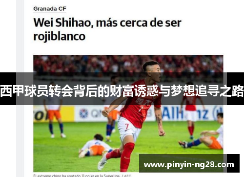 西甲球员转会背后的财富诱惑与梦想追寻之路