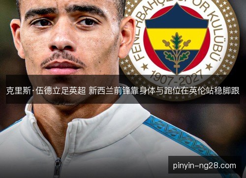 克里斯·伍德立足英超 新西兰前锋靠身体与跑位在英伦站稳脚跟